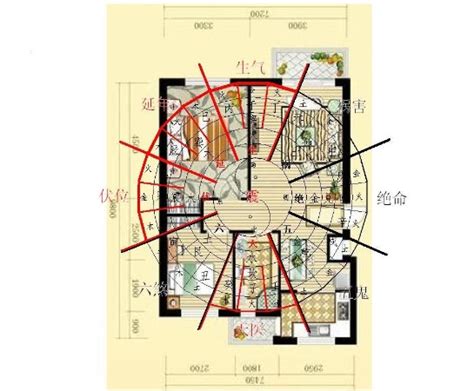 屋子风水方向|风水学入门：阳宅风水学——住宅布局